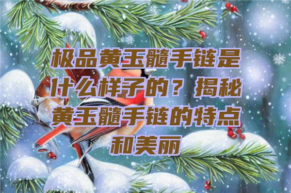 极品黄玉髓手链是什么样子的？揭秘黄玉髓手链的特点和美丽