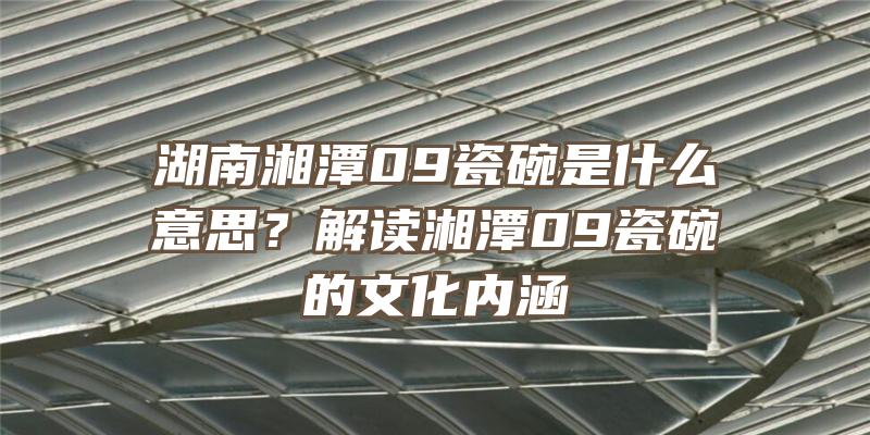 湖南湘潭09瓷碗是什么意思？解读湘潭09瓷碗的文化内涵