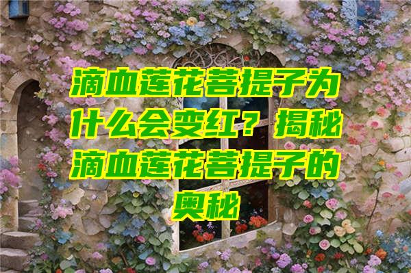 滴血莲花菩提子为什么会变红？揭秘滴血莲花菩提子的奥秘