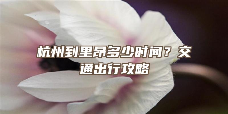 杭州到里昂多少时间？交通出行攻略