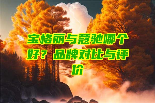 宝格丽与蔻驰哪个好？品牌对比与评价