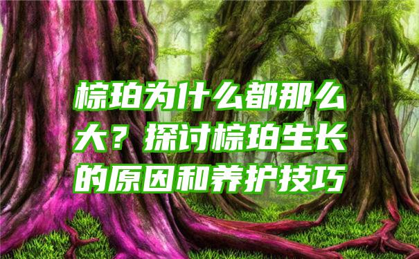 棕珀为什么都那么大？探讨棕珀生长的原因和养护技巧