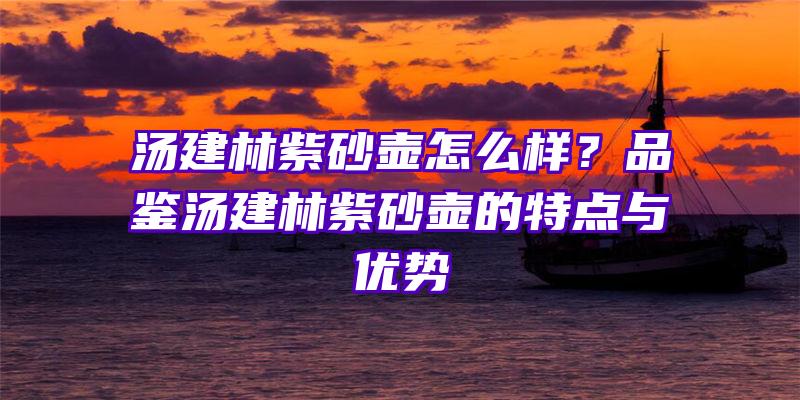 汤建林紫砂壶怎么样？品鉴汤建林紫砂壶的特点与优势