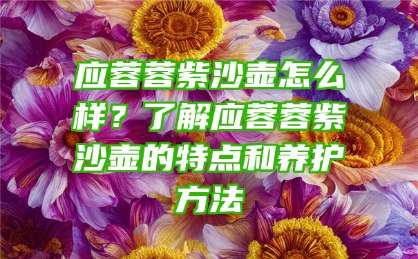 应蓉蓉紫沙壶怎么样？了解应蓉蓉紫沙壶的特点和养护方法