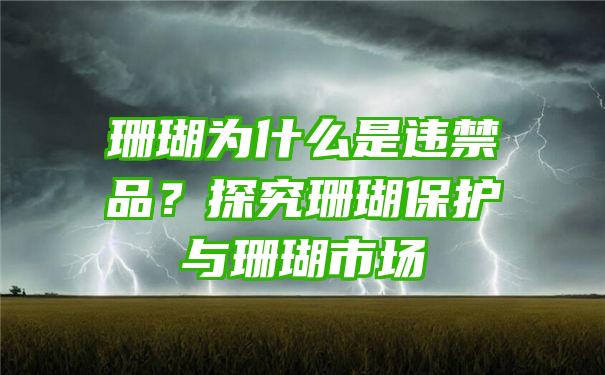 珊瑚为什么是违禁品？探究珊瑚保护与珊瑚市场