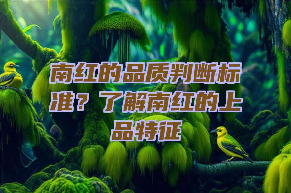 南红的品质判断标准？了解南红的上品特征