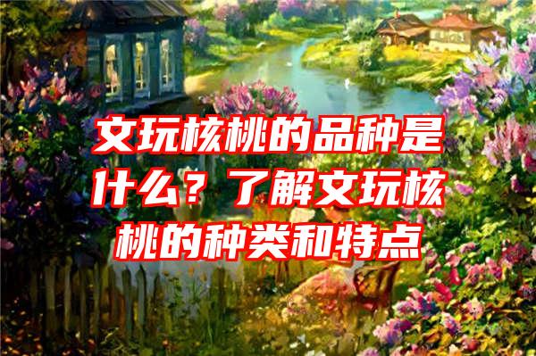 文玩核桃的品种是什么？了解文玩核桃的种类和特点