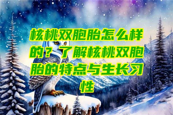 核桃双胞胎怎么样的？了解核桃双胞胎的特点与生长习性