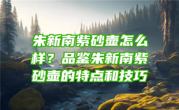 朱新南紫砂壶怎么样？品鉴朱新南紫砂壶的特点和技巧