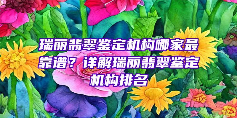 瑞丽翡翠鉴定机构哪家最靠谱？详解瑞丽翡翠鉴定机构排名