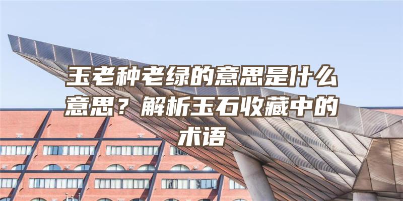 玉老种老绿的意思是什么意思？解析玉石收藏中的术语