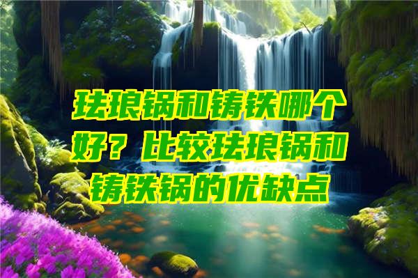 珐琅锅和铸铁哪个好？比较珐琅锅和铸铁锅的优缺点