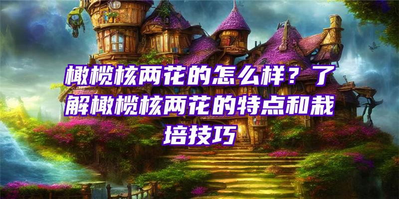 橄榄核两花的怎么样？了解橄榄核两花的特点和栽培技巧