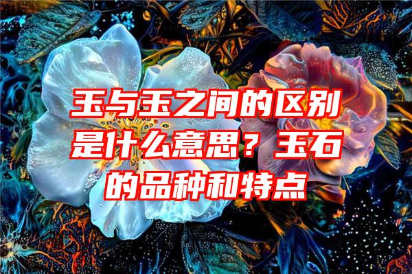 玉与玉之间的区别是什么意思？玉石的品种和特点