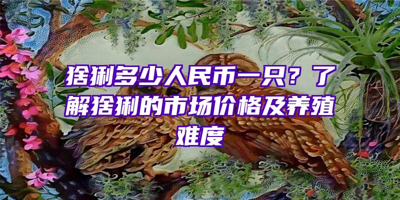 猞猁多少人民币一只？了解猞猁的市场价格及养殖难度