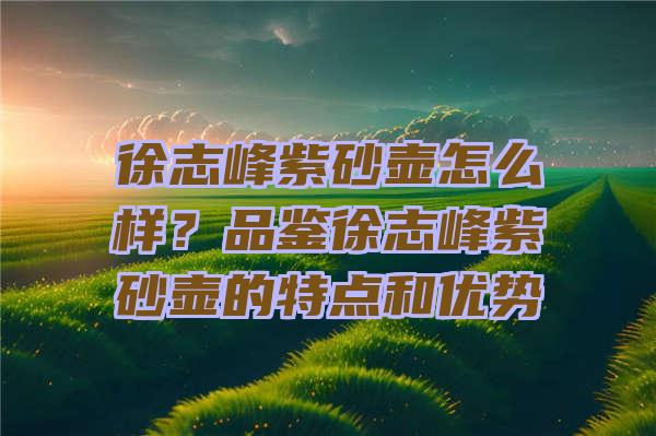 徐志峰紫砂壶怎么样？品鉴徐志峰紫砂壶的特点和优势