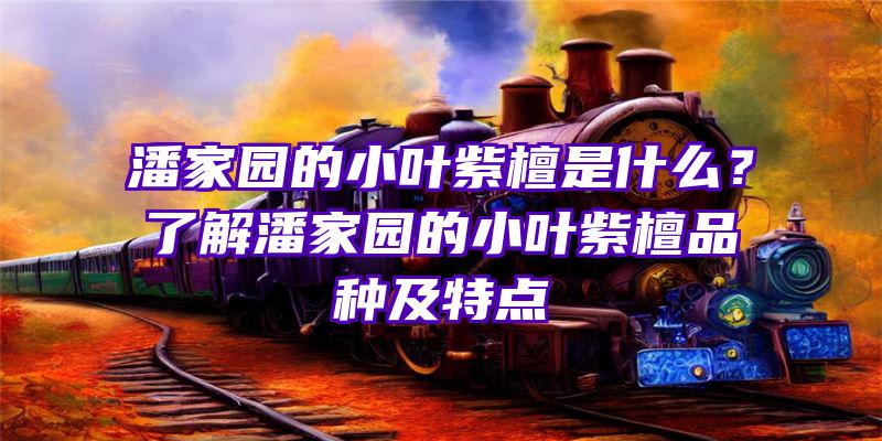 潘家园的小叶紫檀是什么？了解潘家园的小叶紫檀品种及特点