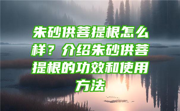 朱砂供菩提根怎么样？介绍朱砂供菩提根的功效和使用方法