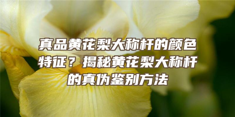 真品黄花梨大称杆的颜色特征？揭秘黄花梨大称杆的真伪鉴别方法