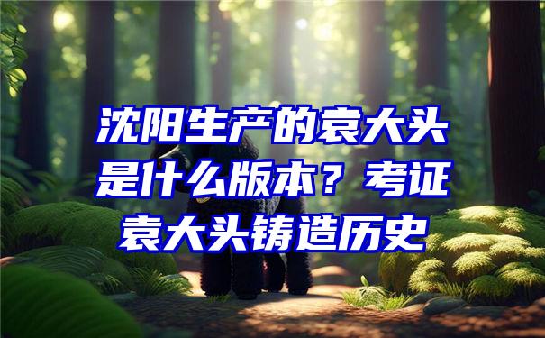 沈阳生产的袁大头是什么版本？考证袁大头铸造历史