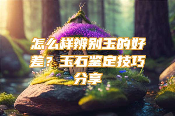 怎么样辨别玉的好差？玉石鉴定技巧分享