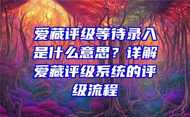 爱藏评级等待录入是什么意思？详解爱藏评级系统的评级流程