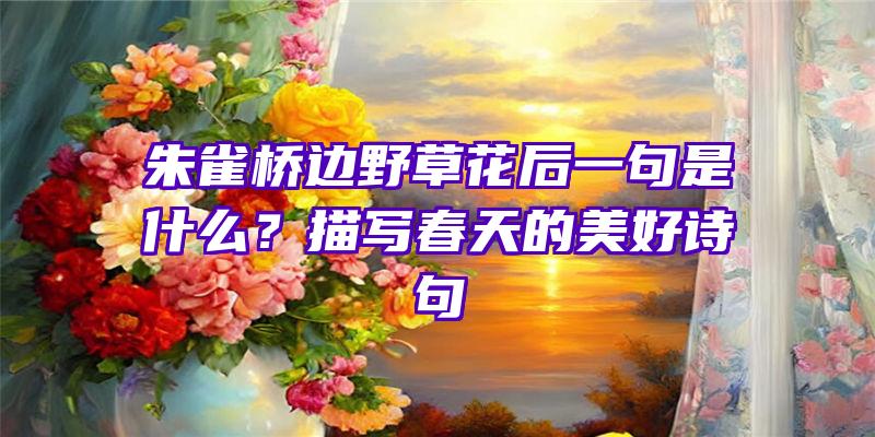 朱雀桥边野草花后一句是什么？描写春天的美好诗句