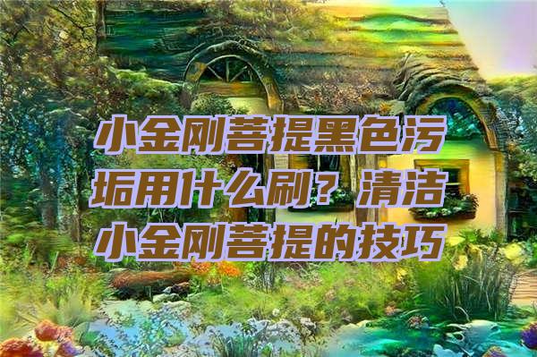 小金刚菩提黑色污垢用什么刷？清洁小金刚菩提的技巧