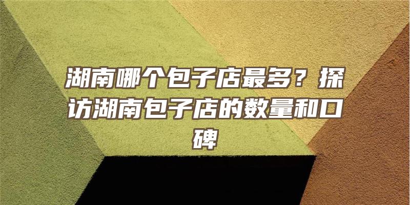 湖南哪个包子店最多？探访湖南包子店的数量和口碑