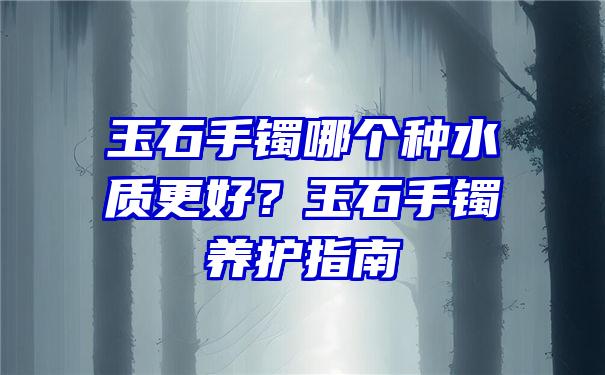 玉石手镯哪个种水质更好？玉石手镯养护指南