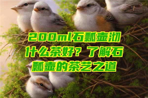 200ml石瓢壶沏什么茶好？了解石瓢壶的茶艺之道