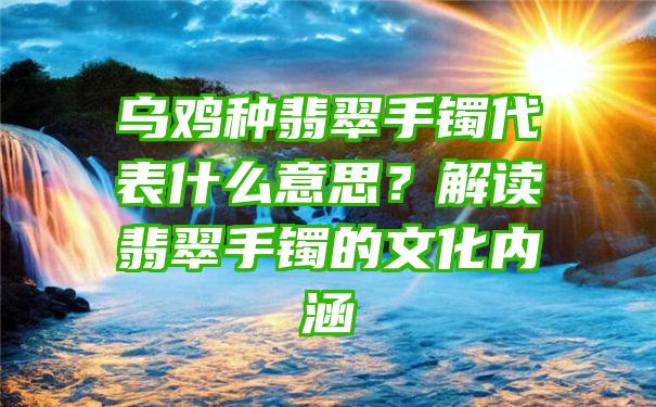 乌鸡种翡翠手镯代表什么意思？解读翡翠手镯的文化内涵