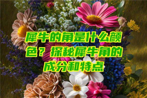 犀牛的角是什么颜色？探秘犀牛角的成分和特点