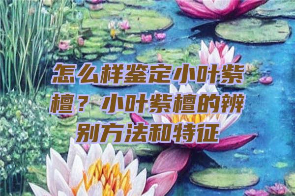 怎么样鉴定小叶紫檀？小叶紫檀的辨别方法和特征