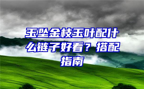 玉坠金枝玉叶配什么链子好看？搭配指南