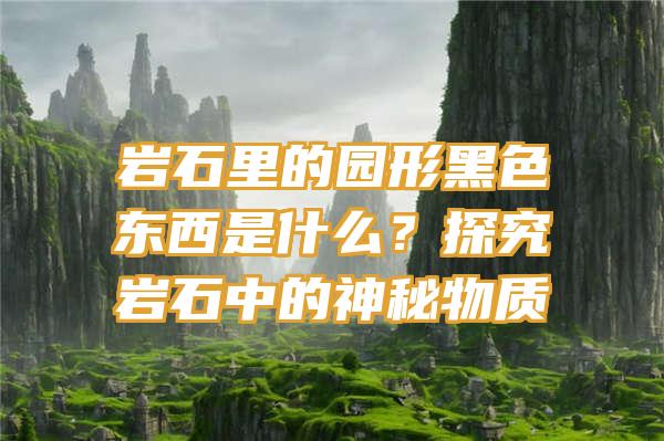 岩石里的园形黑色东西是什么？探究岩石中的神秘物质