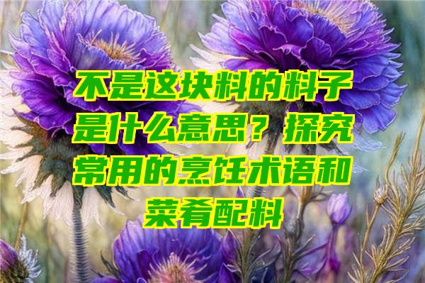 不是这块料的料子是什么意思？探究常用的烹饪术语和菜肴配料