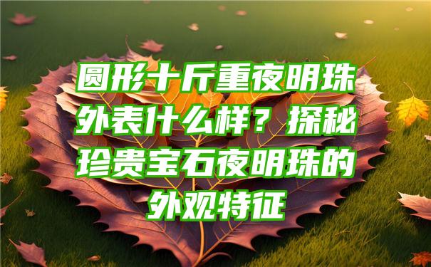 圆形十斤重夜明珠外表什么样？探秘珍贵宝石夜明珠的外观特征