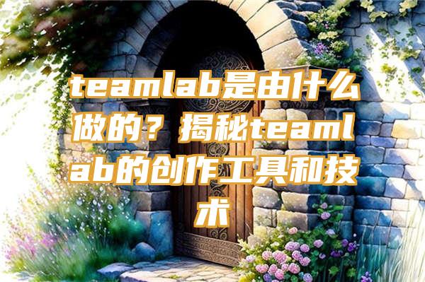 teamlab是由什么做的？揭秘teamlab的创作工具和技术