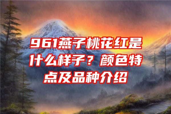 961燕子桃花红是什么样子？颜色特点及品种介绍