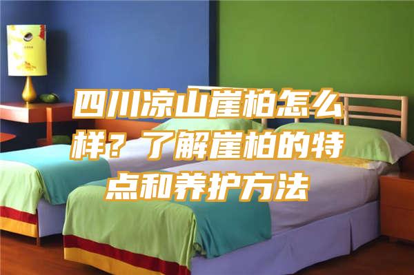 四川凉山崖柏怎么样？了解崖柏的特点和养护方法