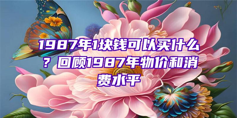 1987年1块钱可以买什么？回顾1987年物价和消费水平