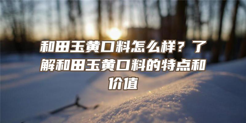 和田玉黄口料怎么样？了解和田玉黄口料的特点和价值