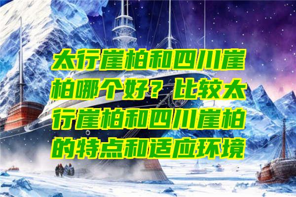 太行崖柏和四川崖柏哪个好？比较太行崖柏和四川崖柏的特点和适应环境