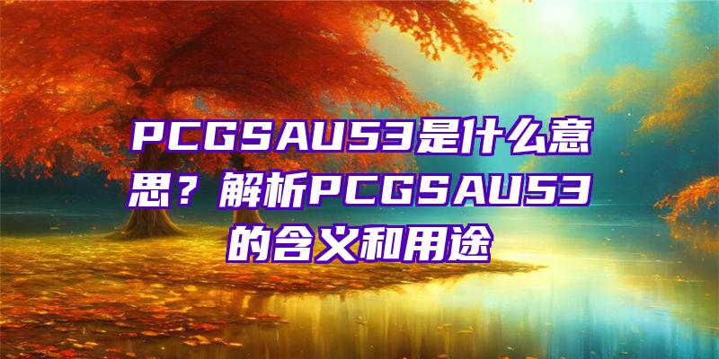 PCGSAU53是什么意思？解析PCGSAU53的含义和用途