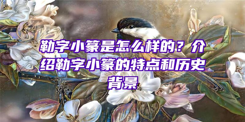 勒字小篆是怎么样的？介绍勒字小篆的特点和历史背景