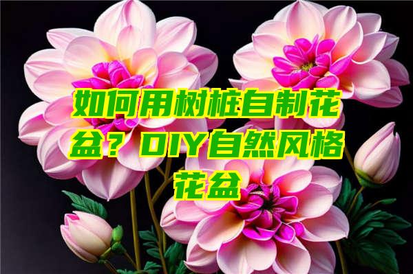 如何用树桩自制花盆？DIY自然风格花盆