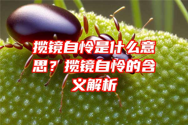 揽镜自怜是什么意思？揽镜自怜的含义解析