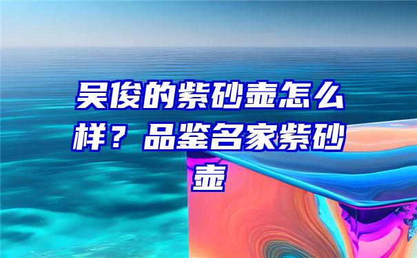 吴俊的紫砂壶怎么样？品鉴名家紫砂壶