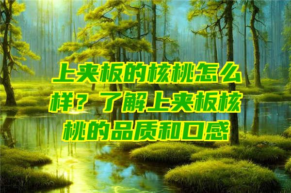 上夹板的核桃怎么样？了解上夹板核桃的品质和口感